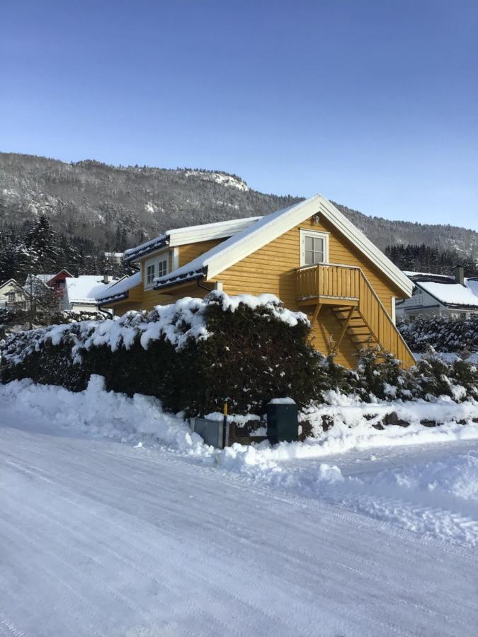 Appartement Sandvik Garasjeloft à Voss Extérieur photo